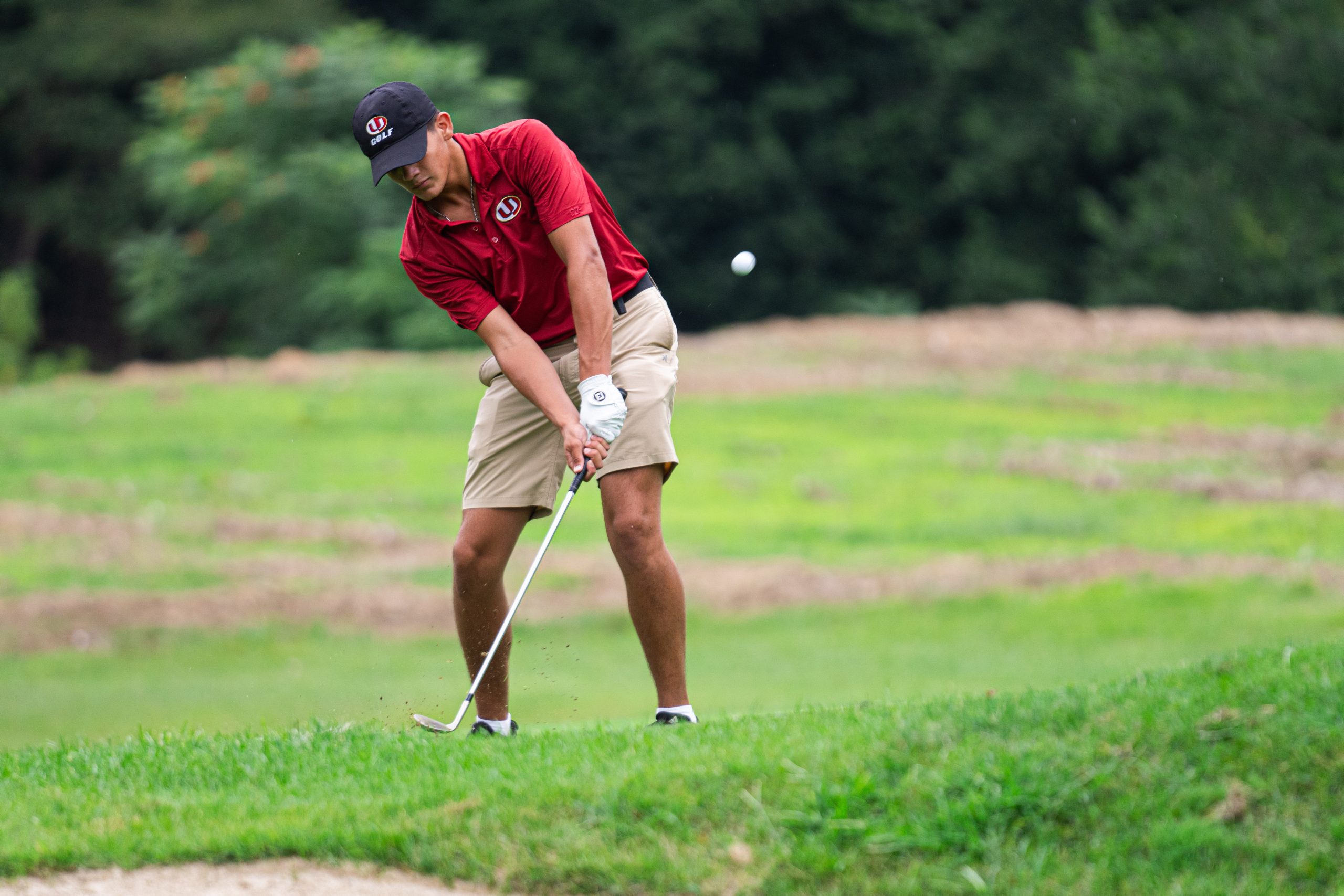 Prep Roundup: Grabo earns low-medalist honors, University captures Region I golf title